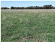 333 ACRES Canaga Park, Chinchilla QLD 4413