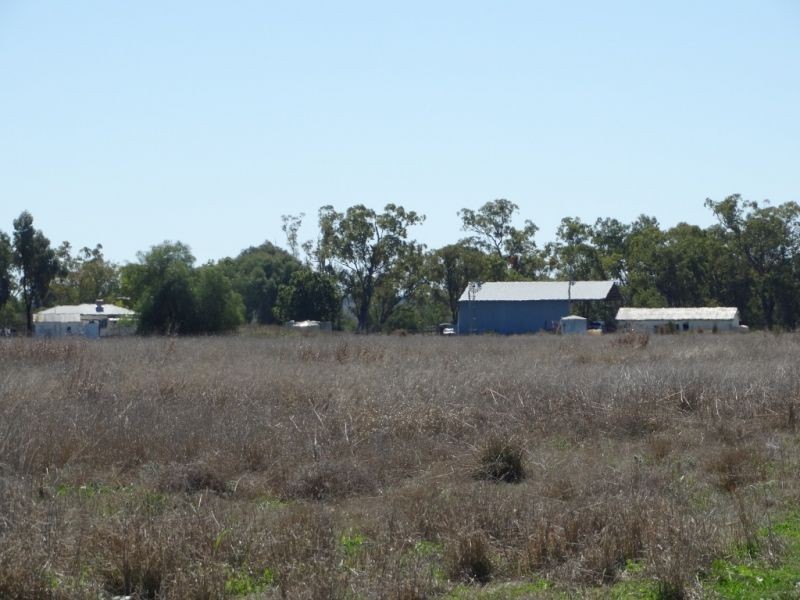 333 ACRES Canaga Park, Chinchilla QLD 4413