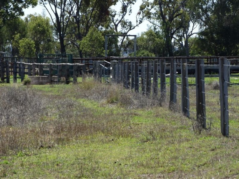 333 ACRES Canaga Park, Chinchilla QLD 4413