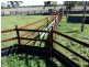 333 ACRES Canaga Park, Chinchilla QLD 4413