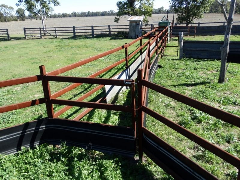 333 ACRES Canaga Park, Chinchilla QLD 4413