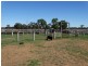 333 ACRES Canaga Park, Chinchilla QLD 4413