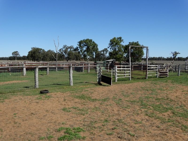 333 ACRES Canaga Park, Chinchilla QLD 4413