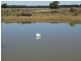 333 ACRES Canaga Park, Chinchilla QLD 4413