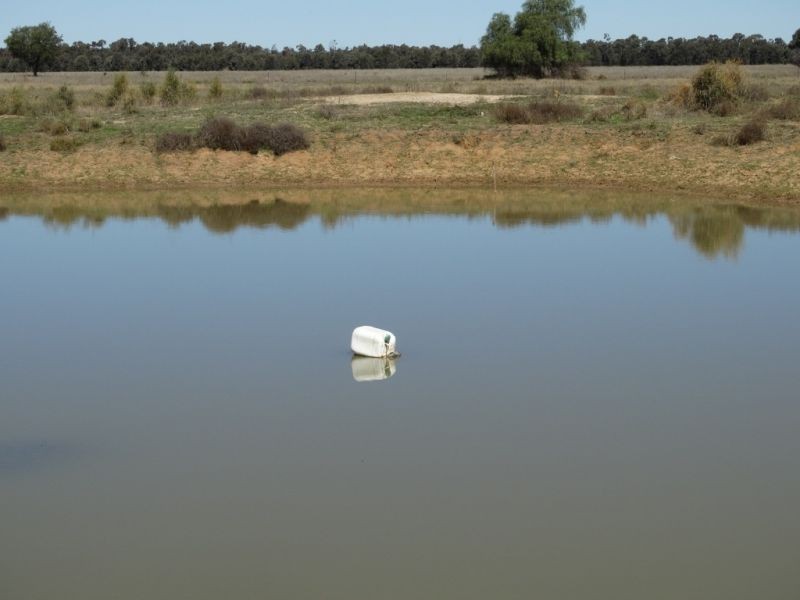 333 ACRES Canaga Park, Chinchilla QLD 4413