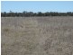 333 ACRES Canaga Park, Chinchilla QLD 4413