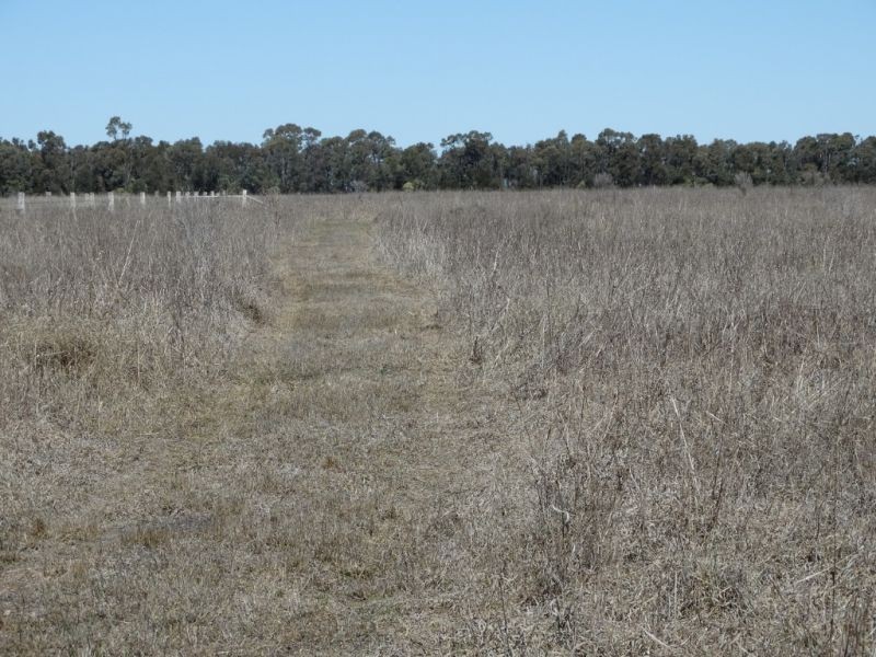 333 ACRES Canaga Park, Chinchilla QLD 4413