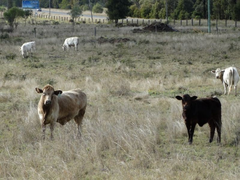 690 ACRES – 27486 Warrego Highway, Chinchilla QLD 4413