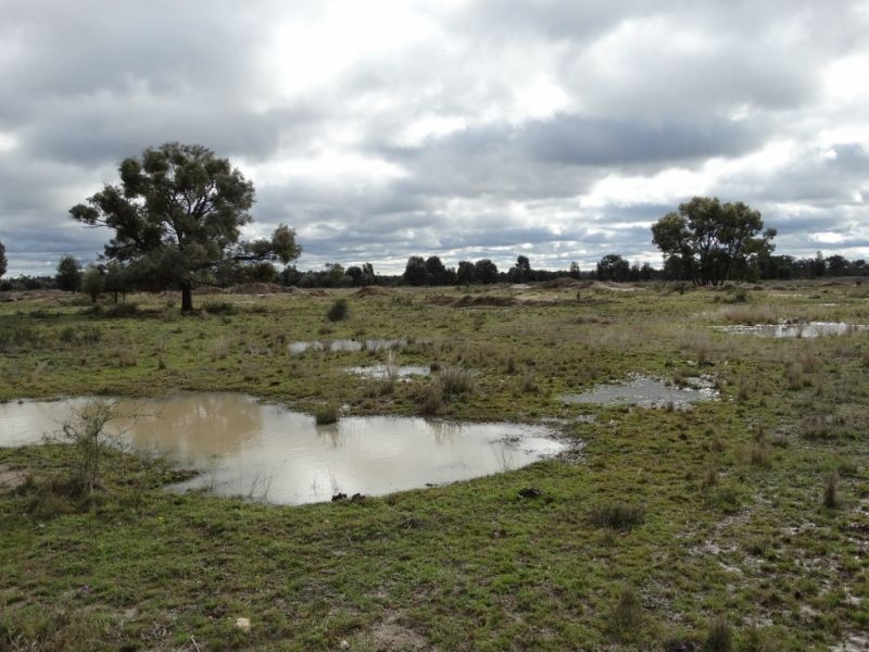 690 ACRES – 27486 Warrego Highway, Chinchilla QLD 4413