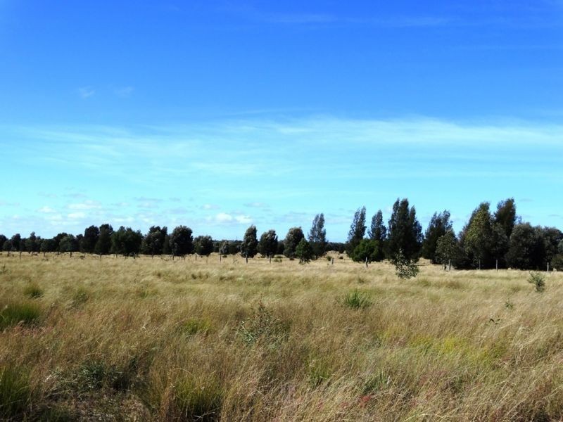 690 ACRES – 27486 Warrego Highway, Chinchilla QLD 4413