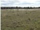 690 ACRES – 27486 Warrego Highway, Chinchilla QLD 4413