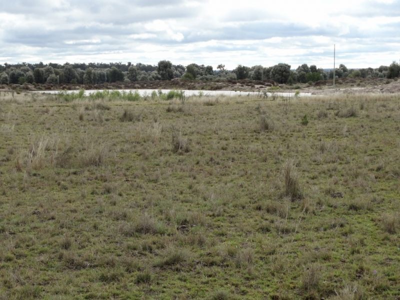 690 ACRES – 27486 Warrego Highway, Chinchilla QLD 4413