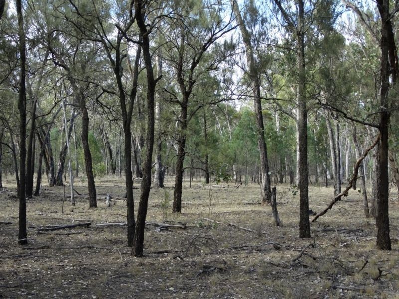 102 ACRES – Lot 6 Wieambilla Road, Chinchilla QLD 4413