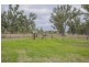 5 Red Loam Acres at 120 Rodger Street, Chinchilla QLD 4413