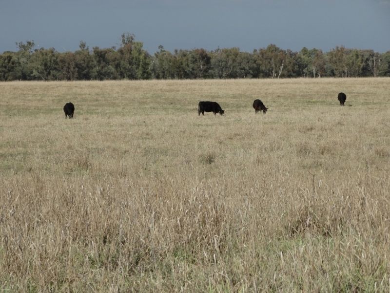 345 ACRES – 1002 Chinchilla Tara Road, Chinchilla QLD 4413