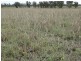 345 ACRES – 1002 Chinchilla Tara Road, Chinchilla QLD 4413
