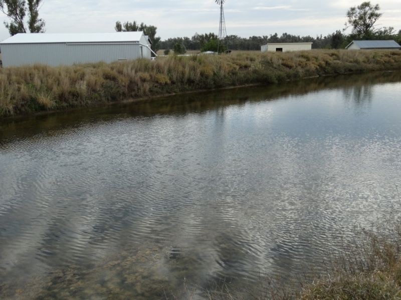 345 ACRES – 1002 Chinchilla Tara Road, Chinchilla QLD 4413