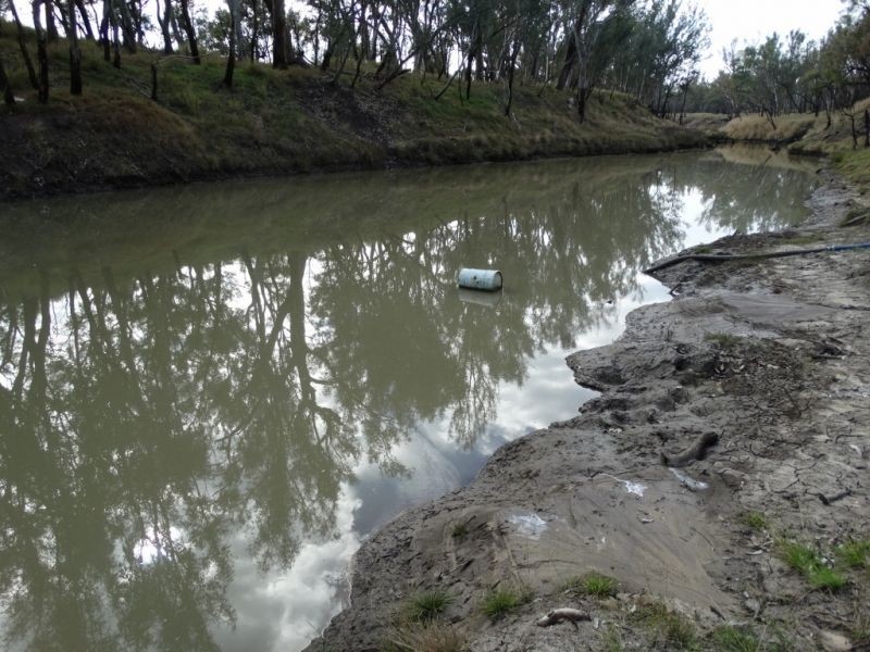 345 ACRES – 1002 Chinchilla Tara Road, Chinchilla QLD 4413