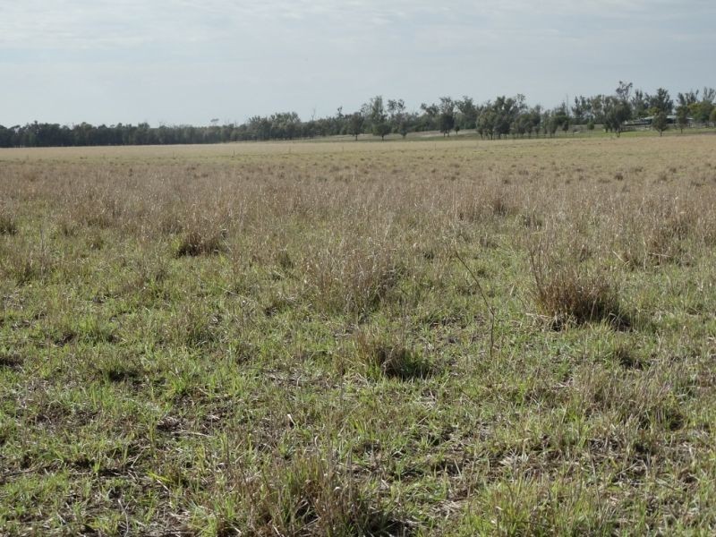 345 ACRES – 1002 Chinchilla Tara Road, Chinchilla QLD 4413