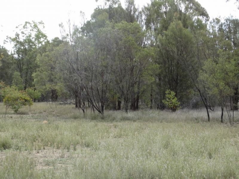 460 North Kogan Road, Kogan QLD 4406