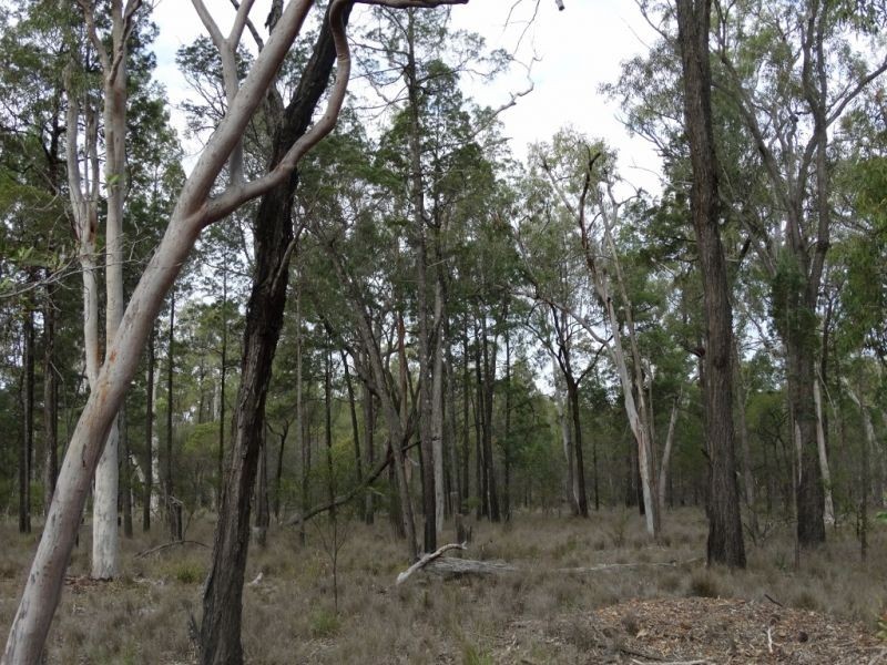 460 North Kogan Road, Kogan QLD 4406