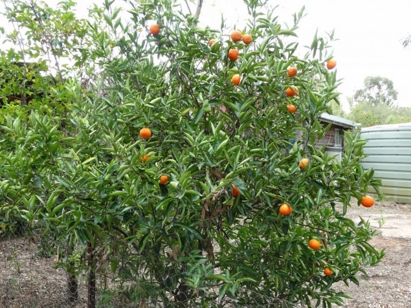 460 North Kogan Road, Kogan QLD 4406