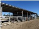 1257 Acres – Lot 4 Ryalls Road, Miles QLD 4415
