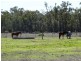 1257 Acres – Lot 4 Ryalls Road, Miles QLD 4415