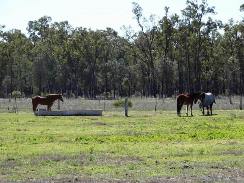 1257 Acres – Lot 4 Ryalls Road, Miles QLD 4415
