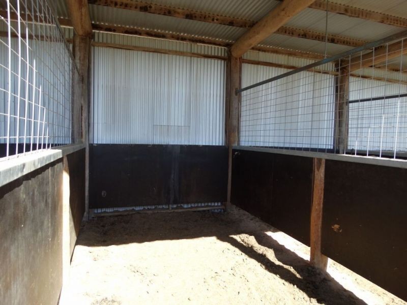 1257 Acres – Lot 4 Ryalls Road, Miles QLD 4415