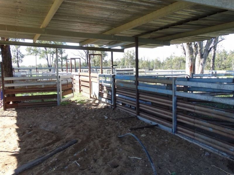 1257 Acres – Lot 4 Ryalls Road, Miles QLD 4415
