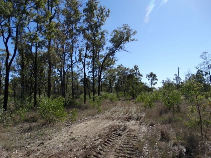 1257 Acres – Lot 4 Ryalls Road, Miles QLD 4415