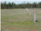 1257 Acres – Lot 4 Ryalls Road, Miles QLD 4415