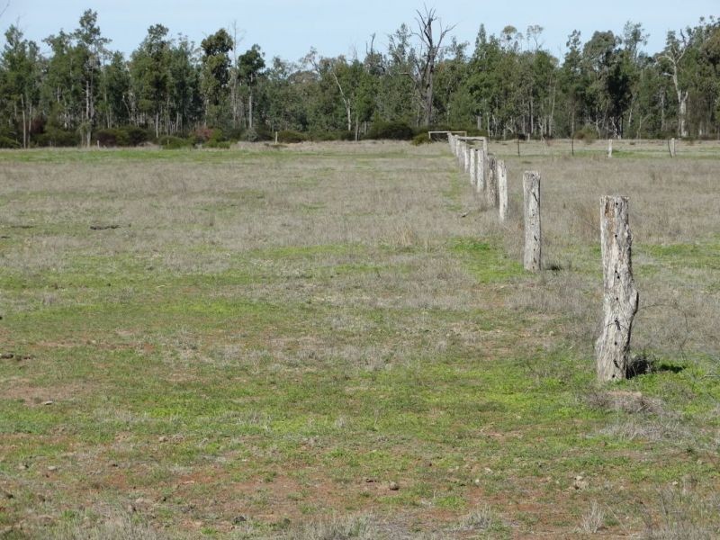 1257 Acres – Lot 4 Ryalls Road, Miles QLD 4415