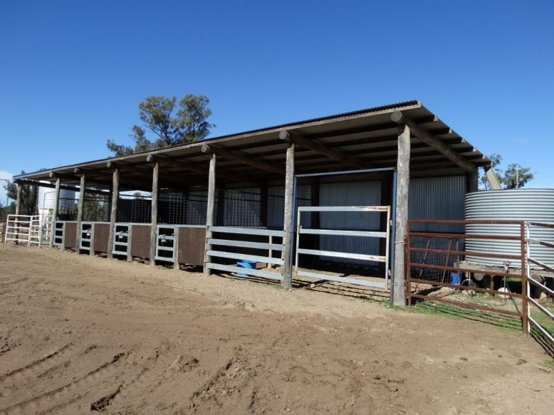 1257 Acres – Lot 4 Ryalls Road, Miles QLD 4415