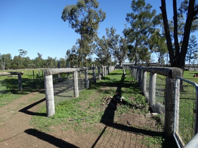1257 Acres – Lot 4 Ryalls Road, Miles QLD 4415