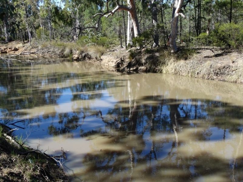 1257 Acres – Lot 4 Ryalls Road, Miles QLD 4415