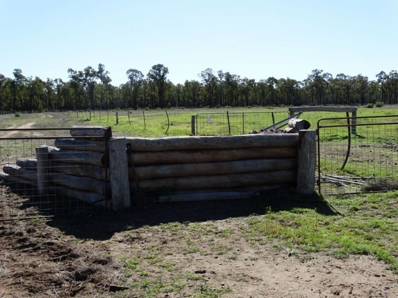 1257 Acres – Lot 4 Ryalls Road, Miles QLD 4415