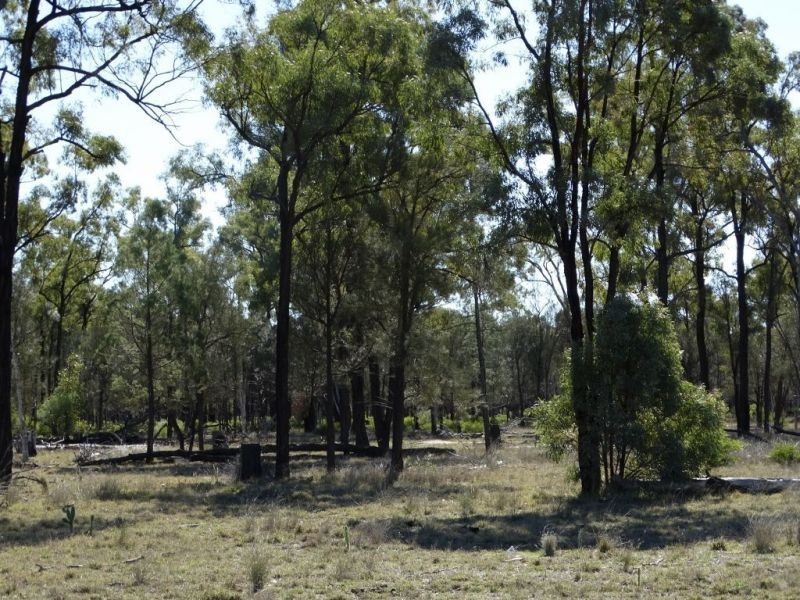 1257 Acres – Lot 4 Ryalls Road, Miles QLD 4415
