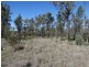 1257 Acres – Lot 4 Ryalls Road, Miles QLD 4415