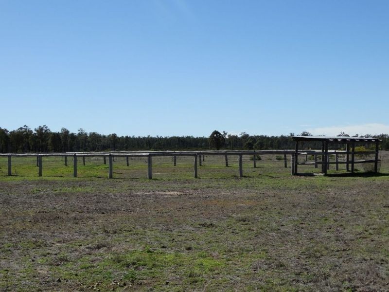 1257 Acres – Lot 4 Ryalls Road, Miles QLD 4415