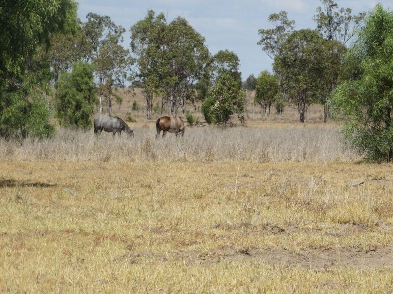 75 ACRES – Roche Creek Road, Wandoan QLD 4419
