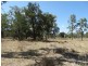 75 ACRES – Roche Creek Road, Wandoan QLD 4419