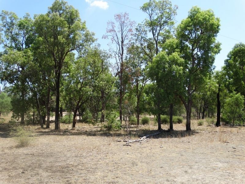 75 ACRES – Roche Creek Road, Wandoan QLD 4419