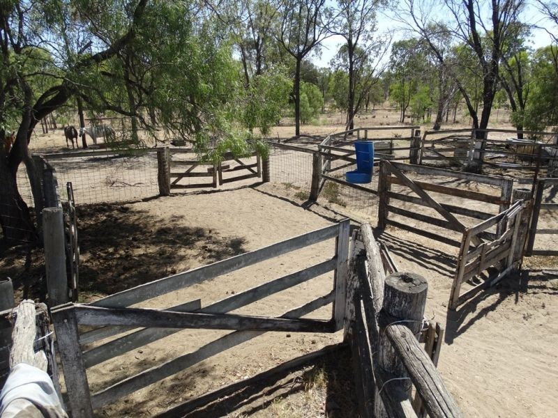 75 ACRES – Roche Creek Road, Wandoan QLD 4419