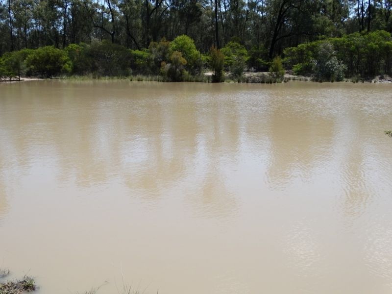 270 Tregathlyn Road, Tara QLD 4421