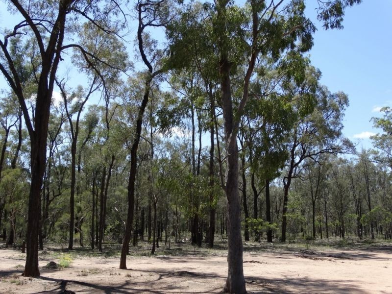 270 Tregathlyn Road, Tara QLD 4421