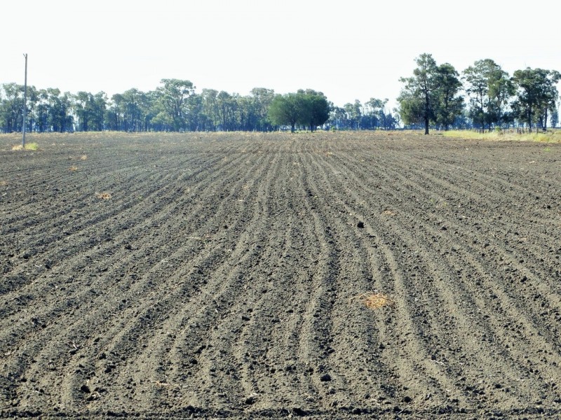 151 ACRES Brigalow District, Chinchilla QLD 4413