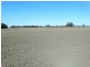 151 ACRES Brigalow District, Chinchilla QLD 4413