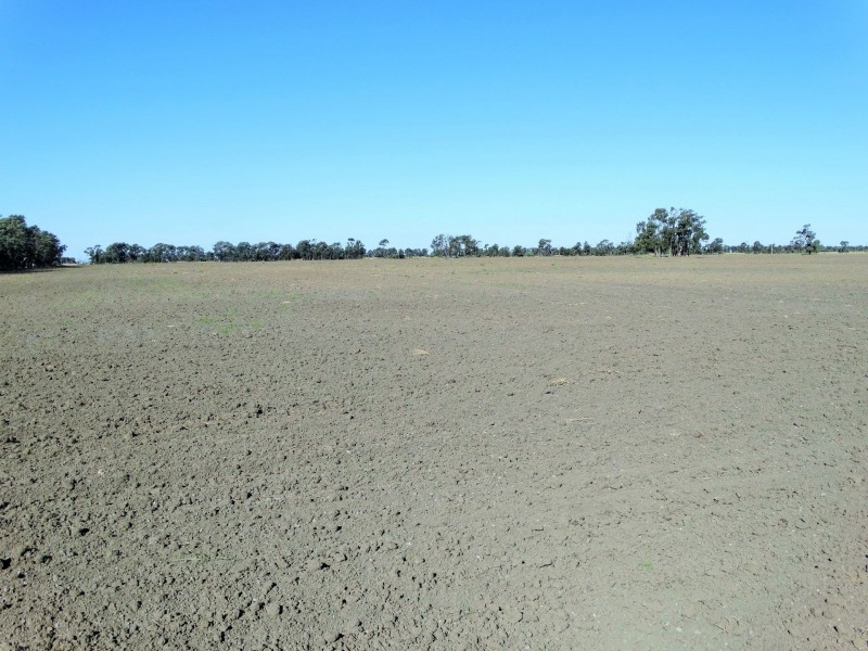 151 ACRES Brigalow District, Chinchilla QLD 4413